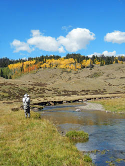 Alpine Meadow Fly Fishing